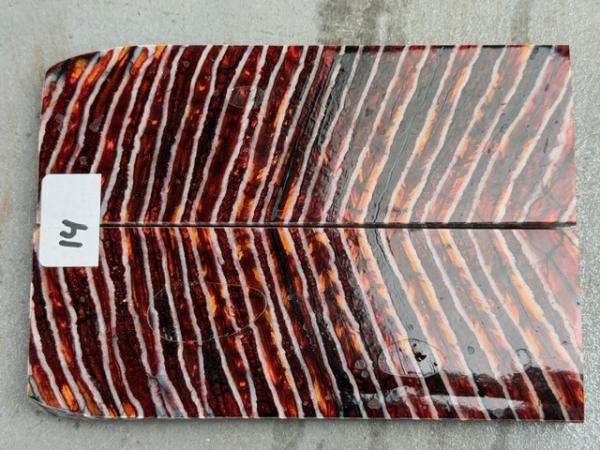 Stabilisierter Mammutbackenzahn - 2